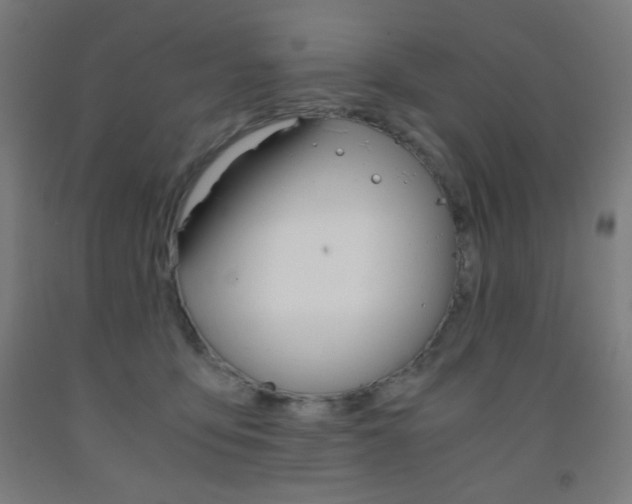 X0000093230419200709261513