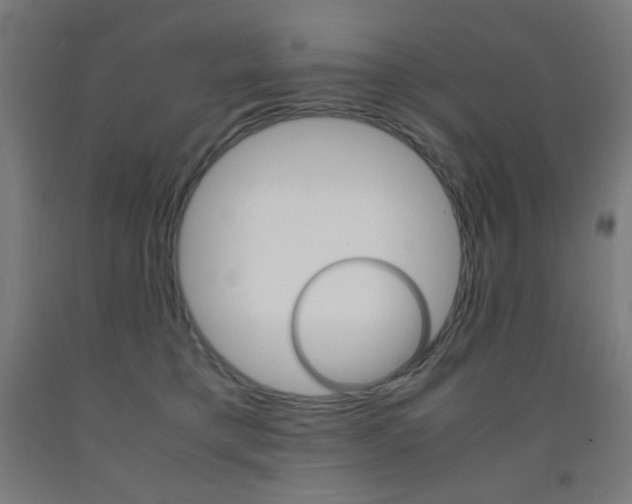X0000093230421200709261513