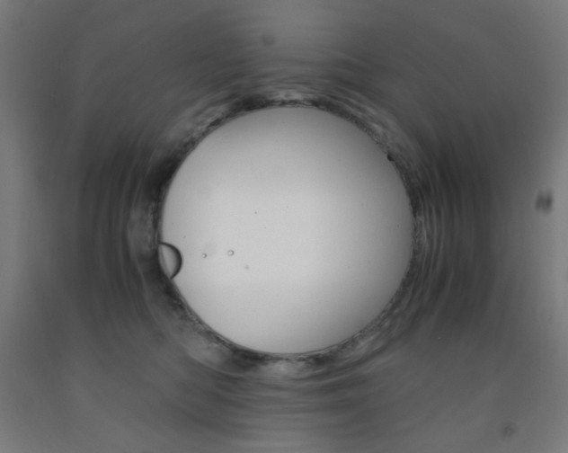 X0000093230422200709261513