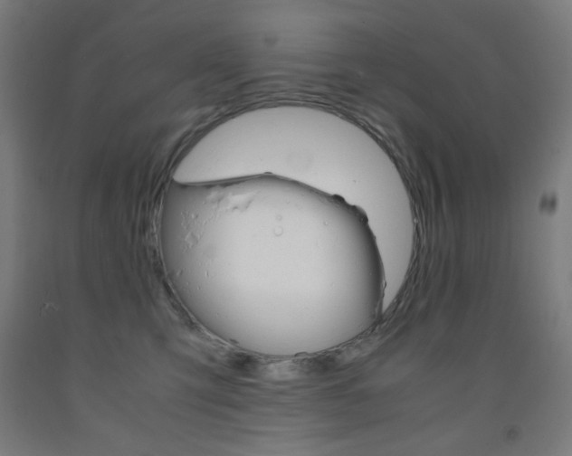 X0000093230423200709261513