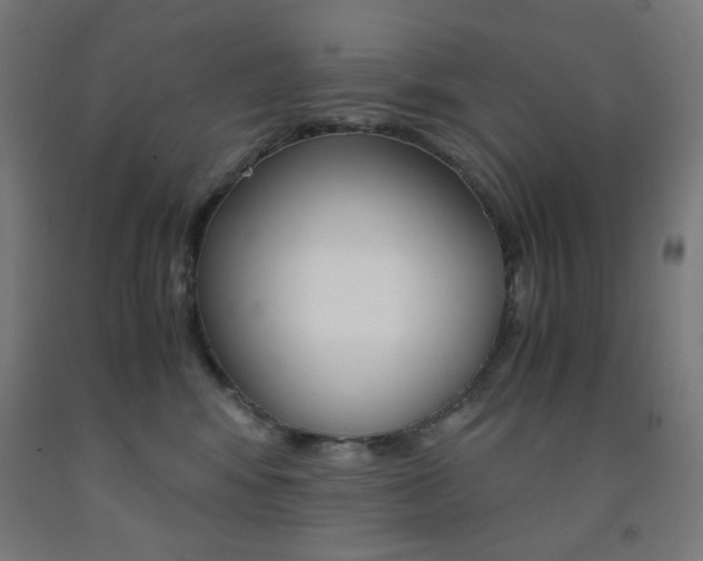 X0000093230424200709261513