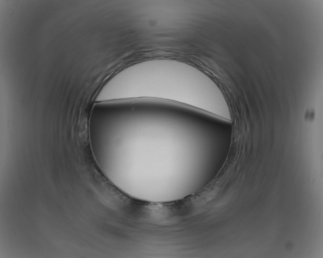X0000093230425200709261513