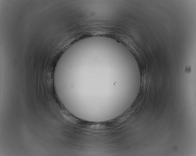 X0000093230426200709261513