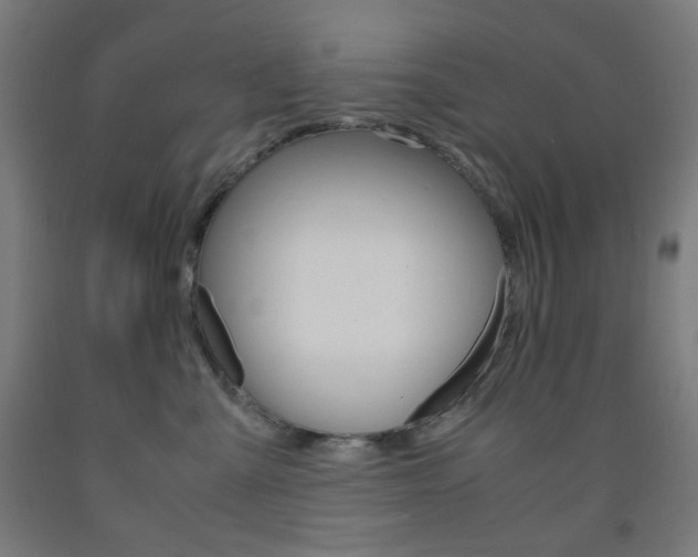 X0000093230427200709261513