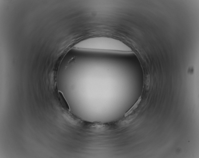 X0000093230428200709261513