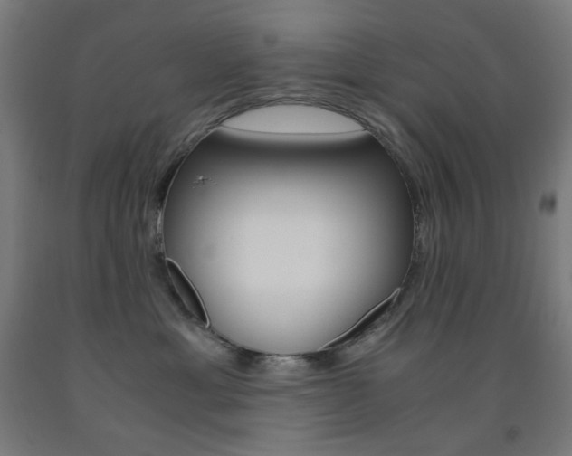 X0000093230429200709261513