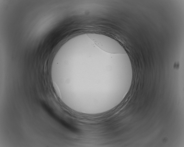 X0000093230431200709261513