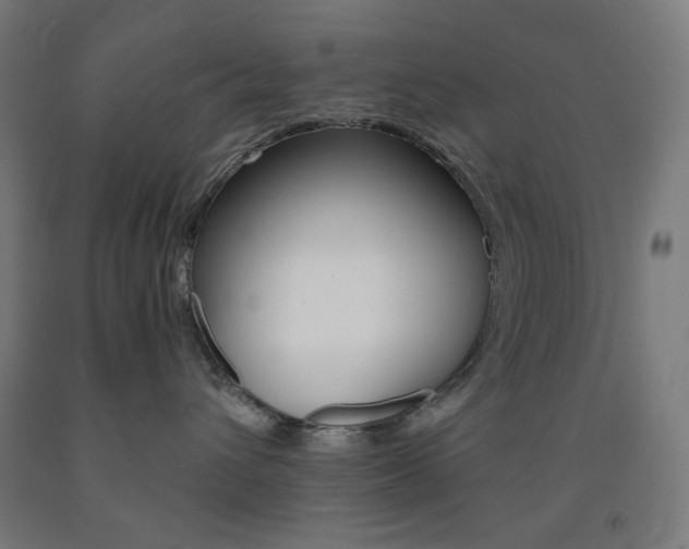 X0000093230432200709261513