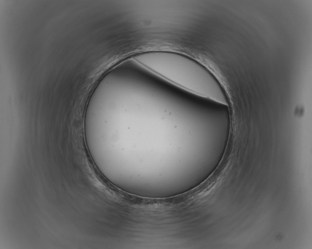 X0000093230433200709261512