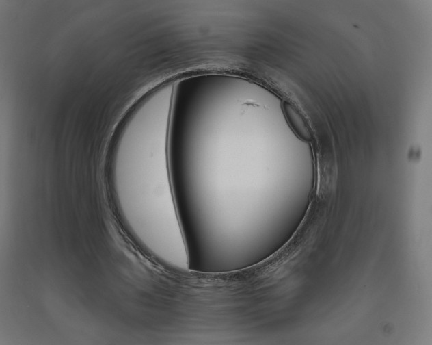 X0000093230435200709261512