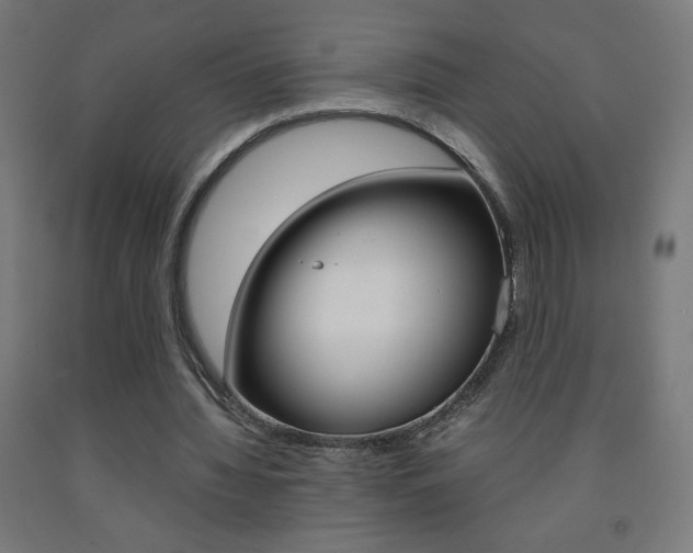 X0000093230436200709261512
