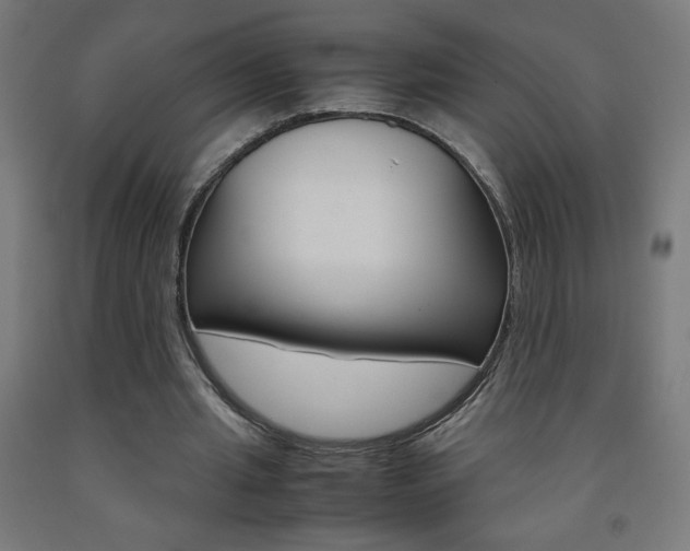 X0000093230437200709261513