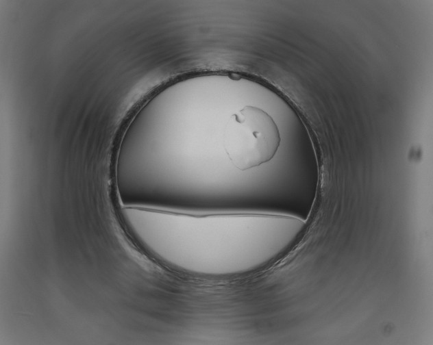 X0000093230438200709261513