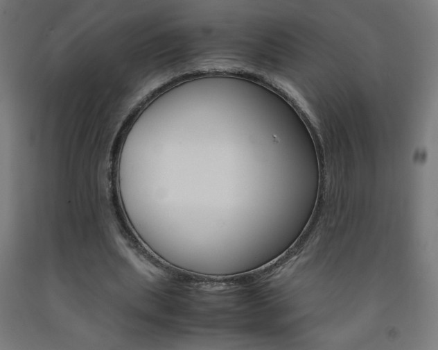X0000093230439200709261513