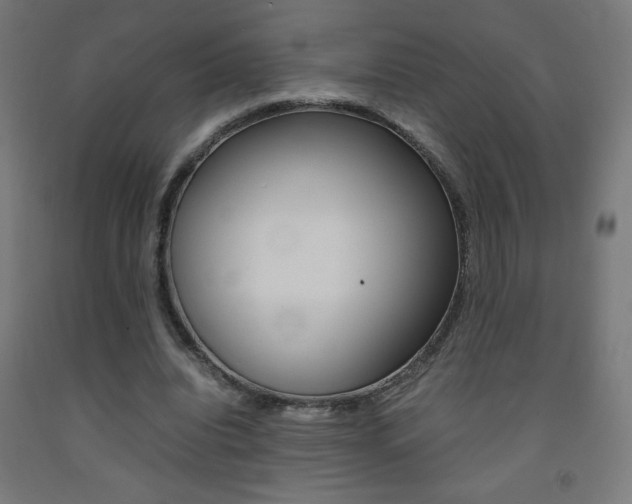 X0000093230440200709261513