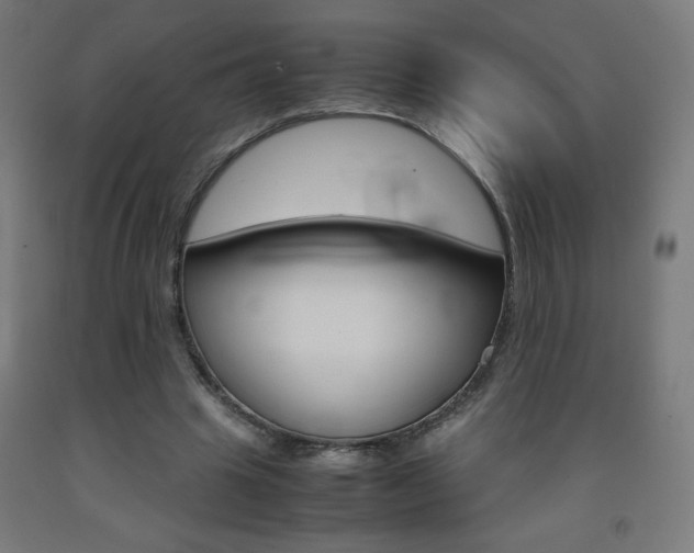 X0000093230441200709261513