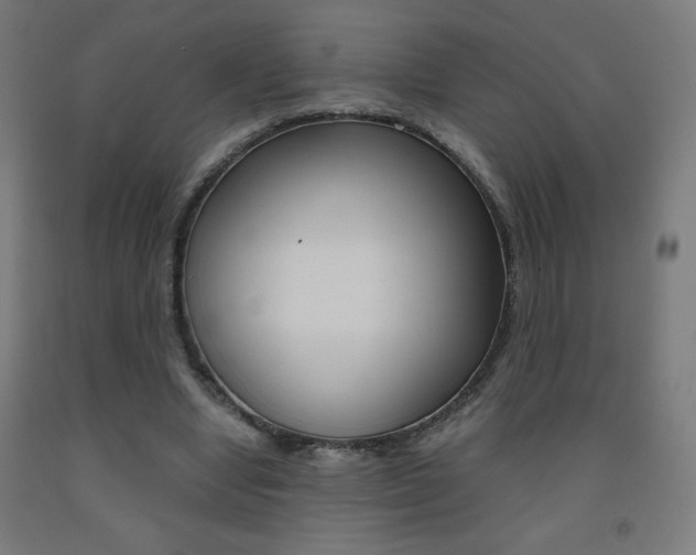 X0000093230442200709261513