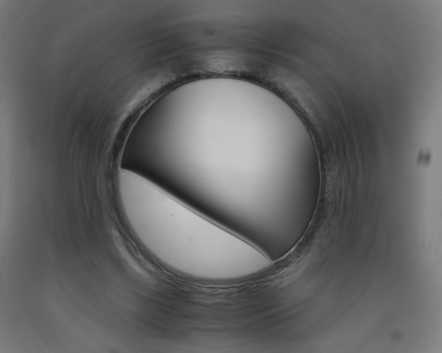 X0000093230443200709261513