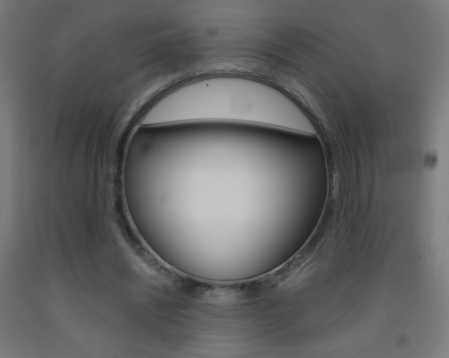 X0000093230444200709261513
