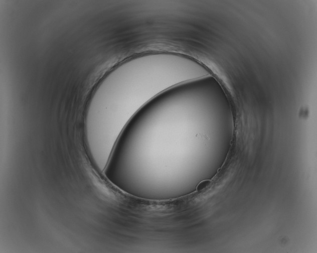 X0000093230445200709261513