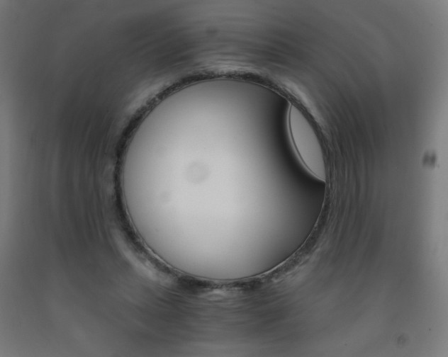 X0000093230447200709261513
