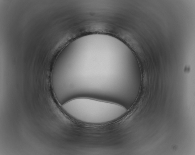 X0000093230449200709261513