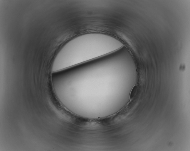 X0000093230451200709261513