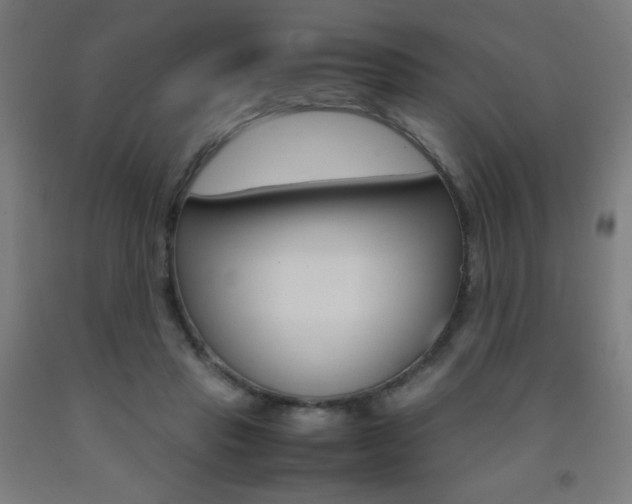 X0000093230453200709261513