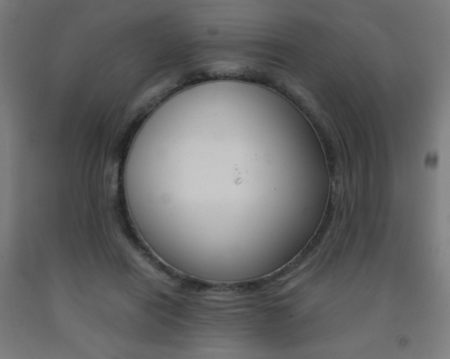X0000093230454200709261513
