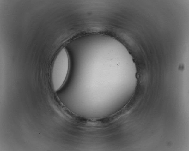 X0000093230455200709261513