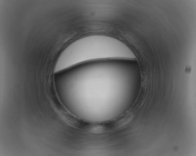 X0000093230456200709261513