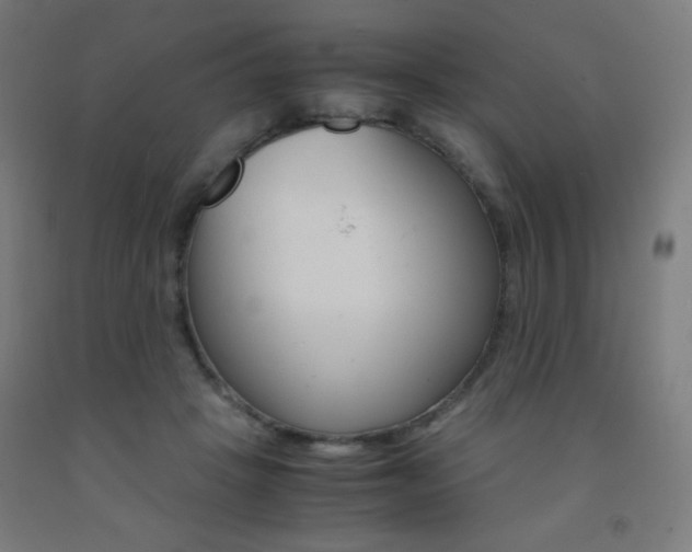 X0000093230457200709261513