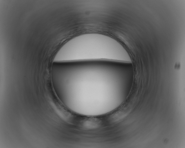 X0000093230459200709261513