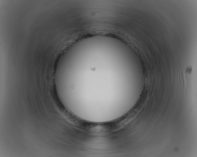 X0000093230460200709261513