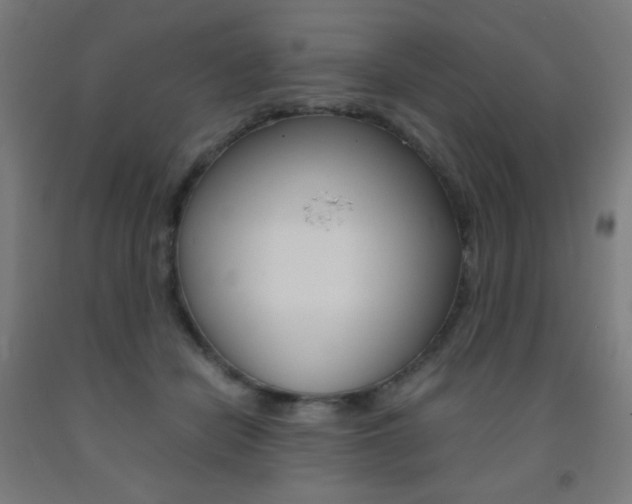 X0000093230462200709261513