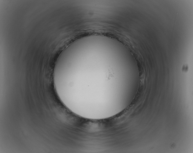 X0000093230464200709261513