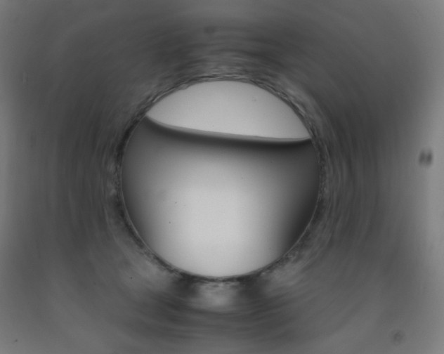 X0000093230465200709261513