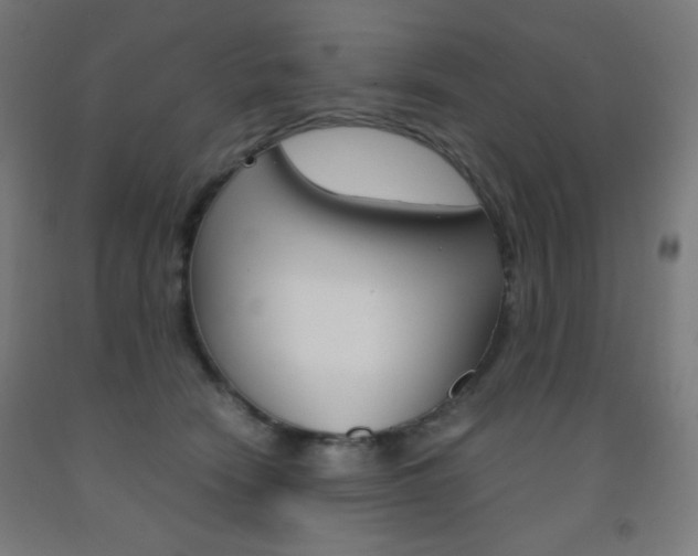 X0000093230466200709261513
