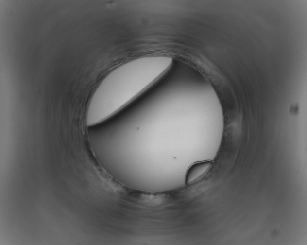 X0000093230469200709261513