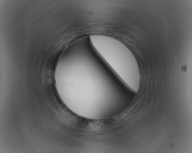 X0000093230470200709261513