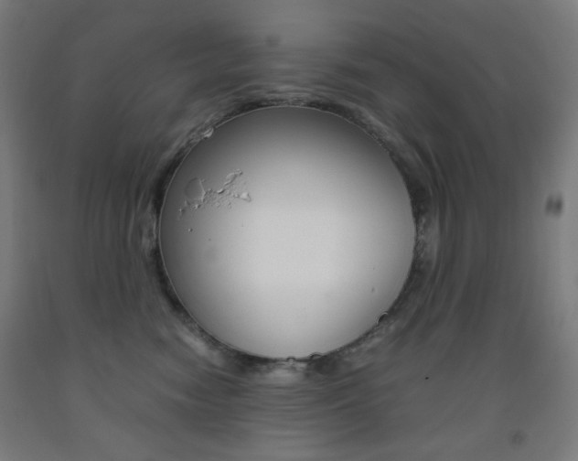 X0000093230474200709261513