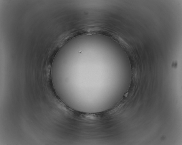 X0000093230475200709261513