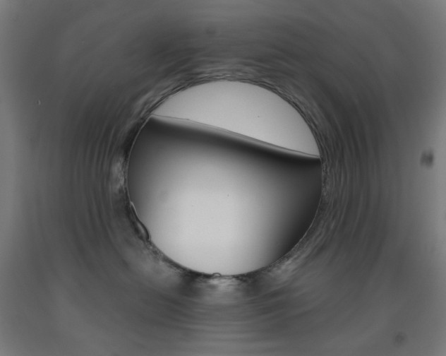 X0000093230478200709261513