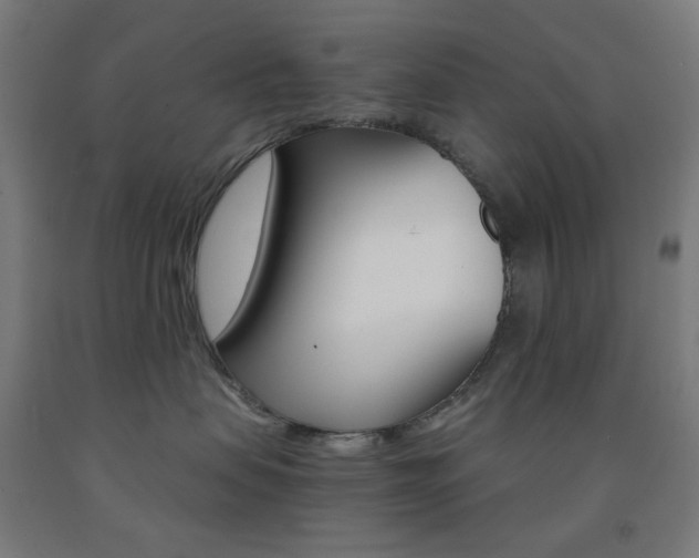 X0000093230479200709261513