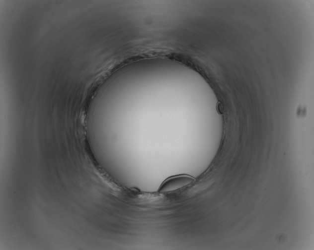 X0000093230480200709261513