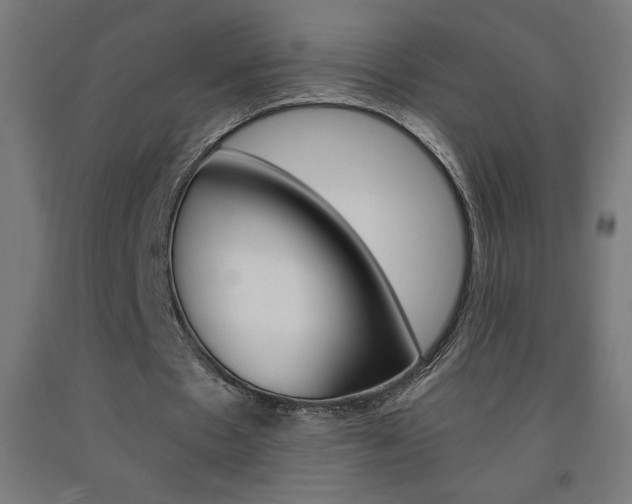 X0000093230481200709261512