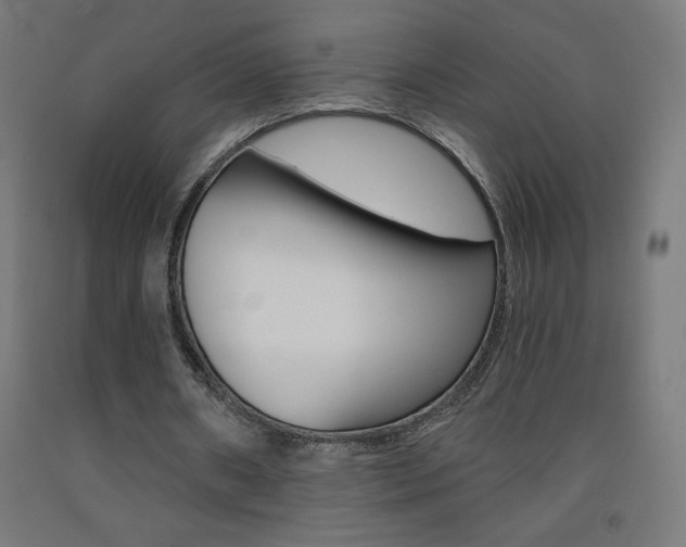 X0000093230482200709261512