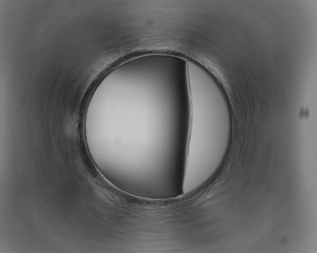 X0000093230483200709261512