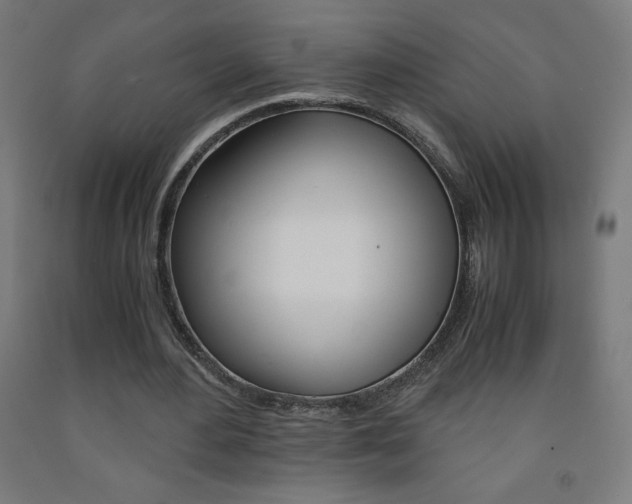 X0000093230484200709261512