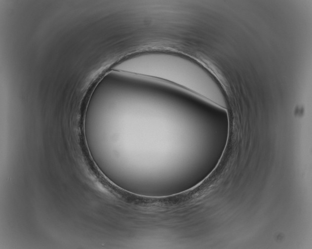 X0000093230485200709261512